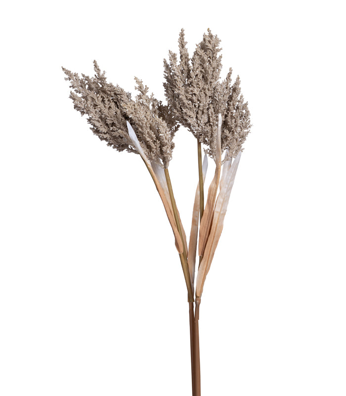 Fern asparagus Beige - set of 2