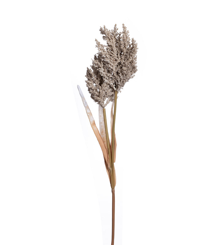 Fern asparagus Beige - set of 2