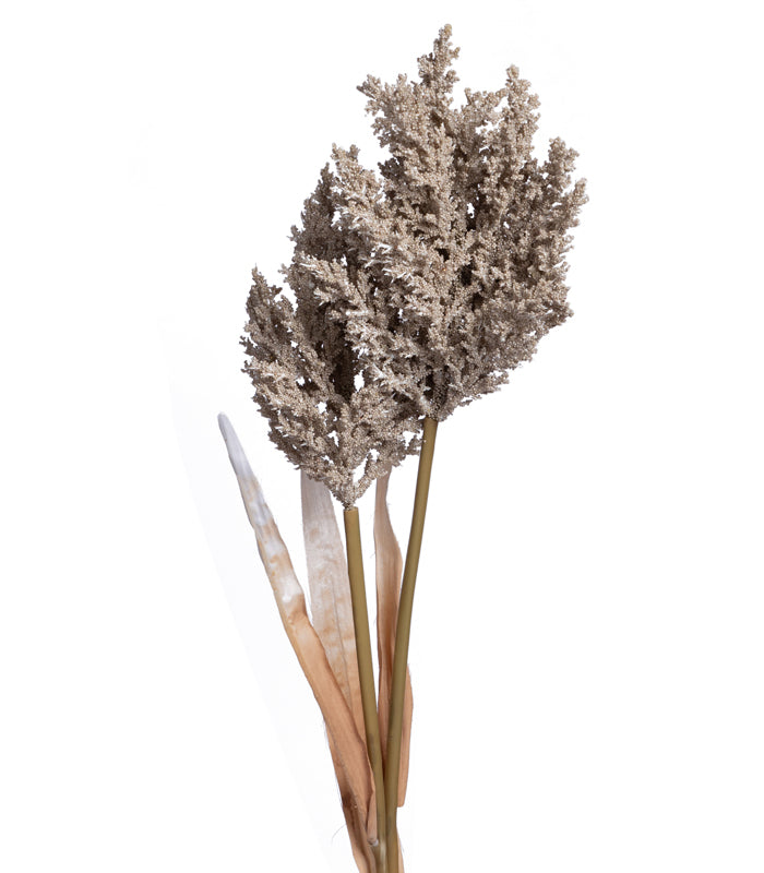 Fern asparagus Beige - set of 2