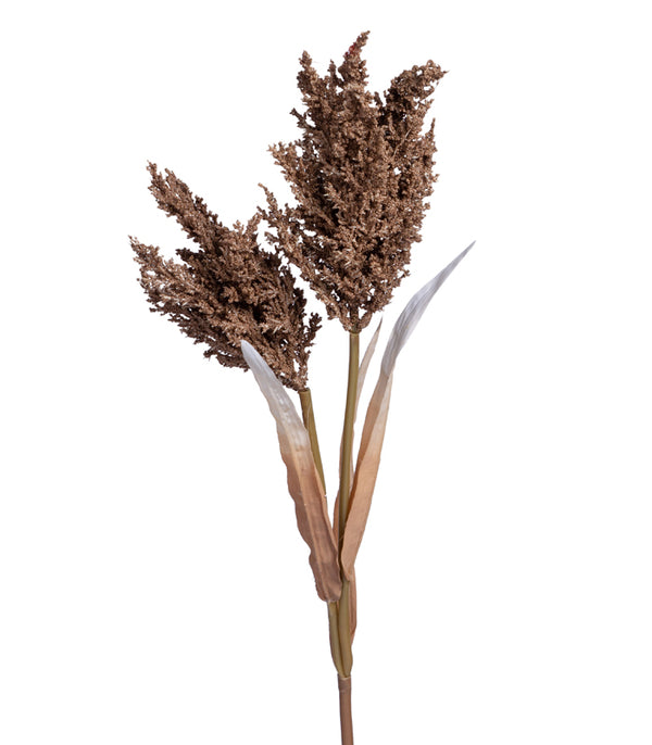 Fern asparagus Light Brown - set of 2