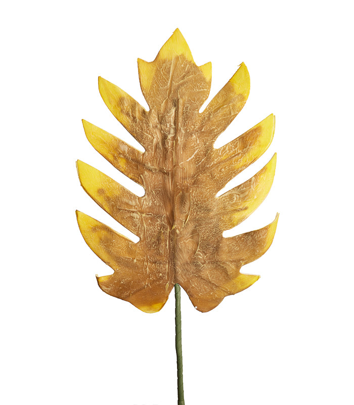 Turtle Leaf Ochre - Set of 4