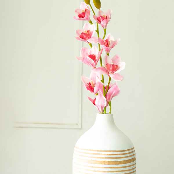 Cymbidium Orchid Pink – htohshop