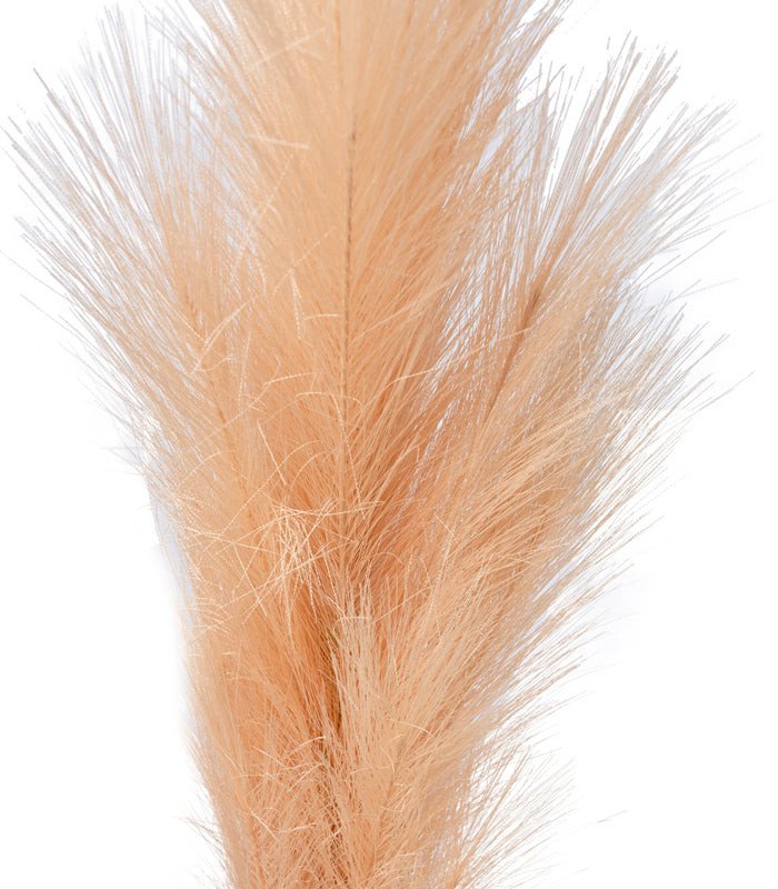 Pampas Peach - Set of 2