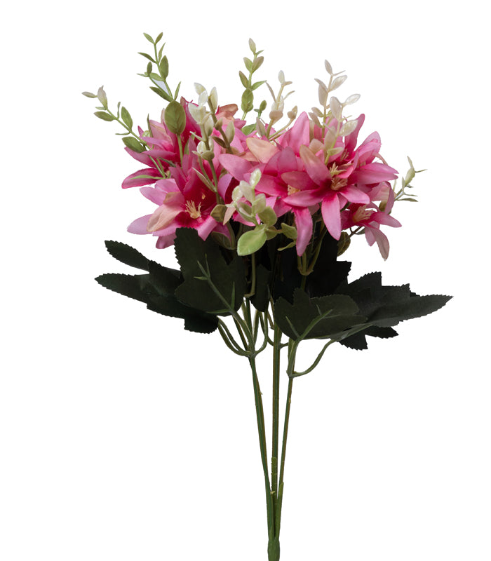 Tuberose Pink - Set of 2