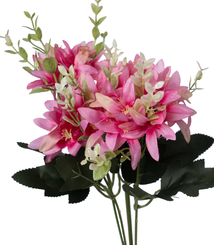 Tuberose Pink - Set of 2